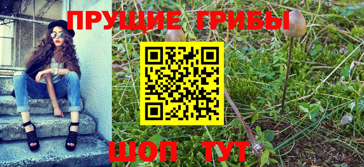 Менделеевск  Галлюциногенные грибы мухоморы  Вход с VPN 