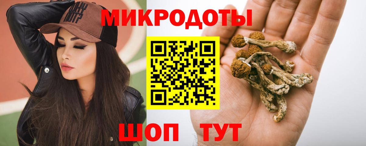 Галлюциногенные грибы мухоморы Менделеевск